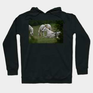 Wild Horses Hoodie